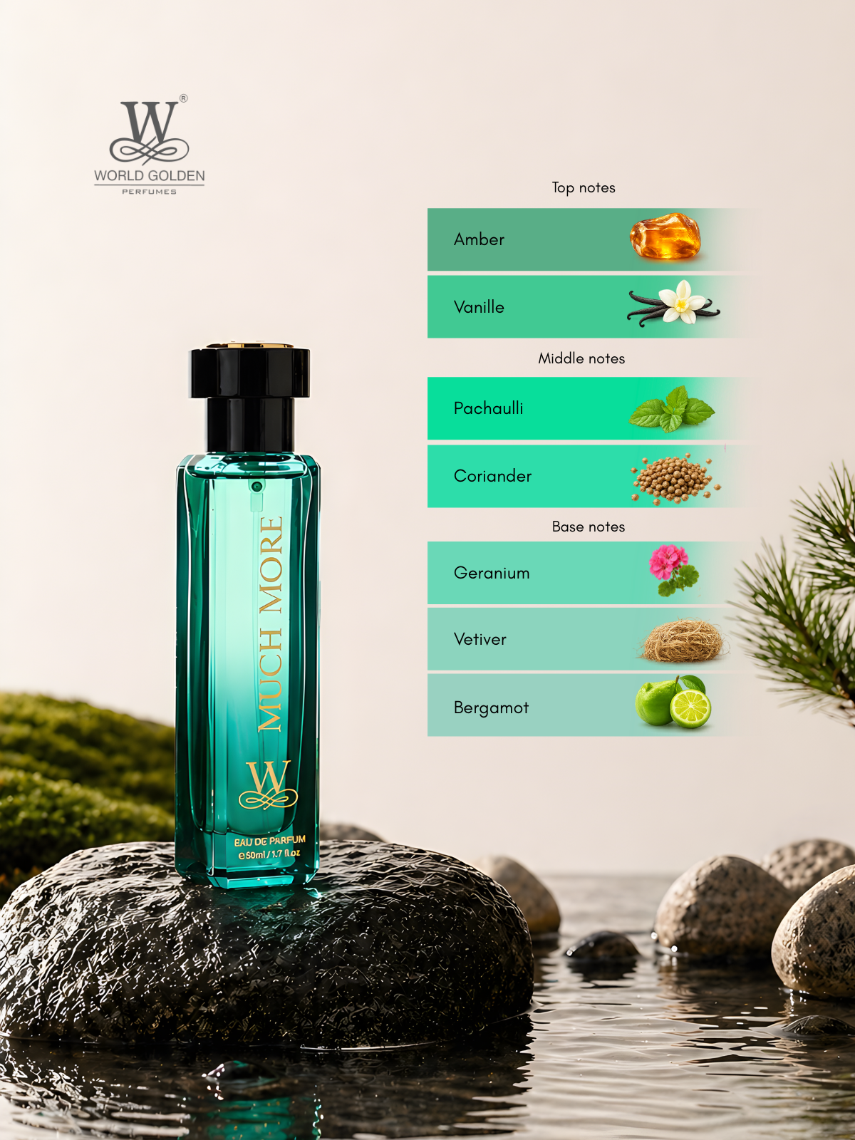 Much More EDP 50ml
