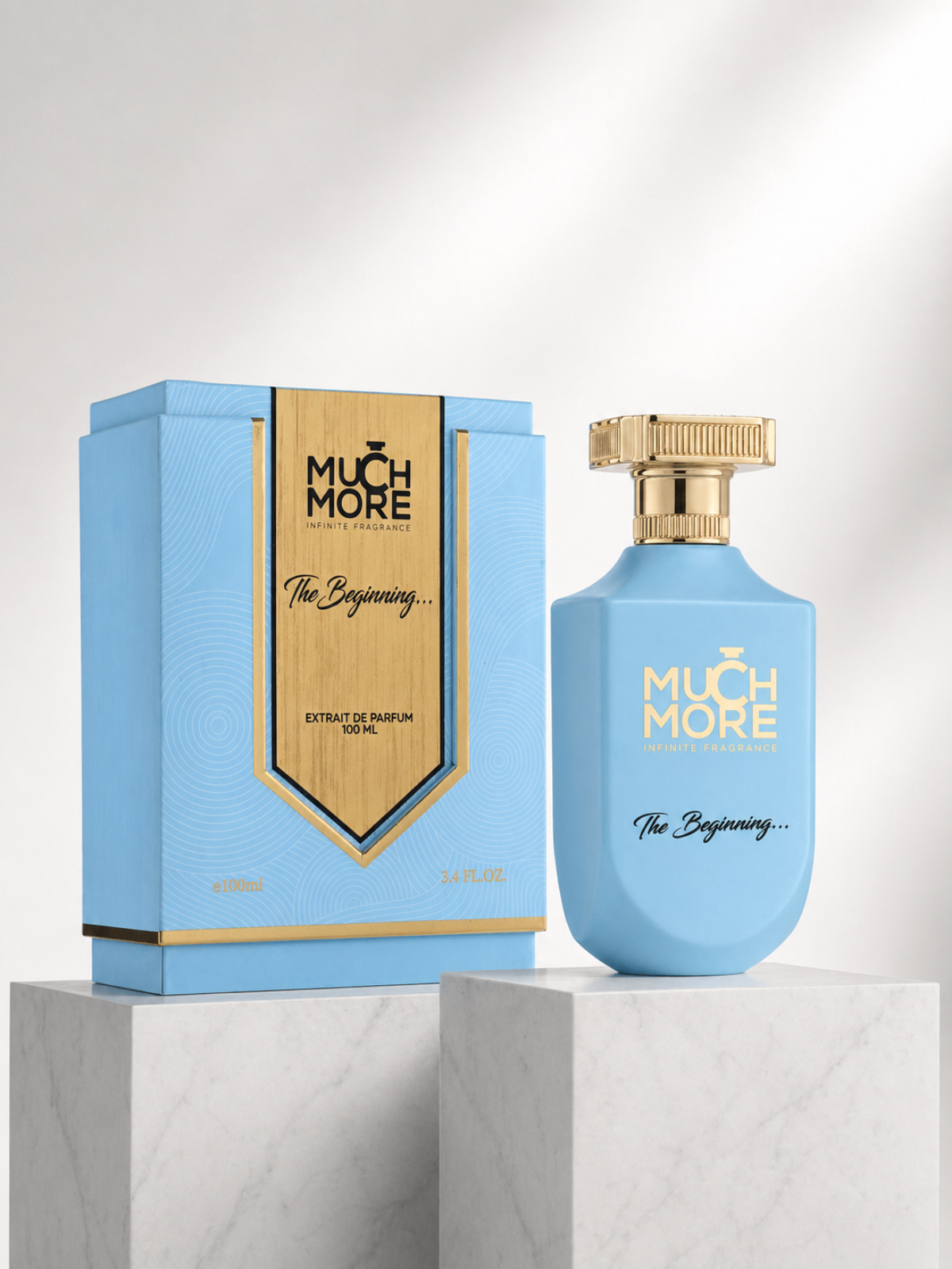 The Beginning EDP 100ml