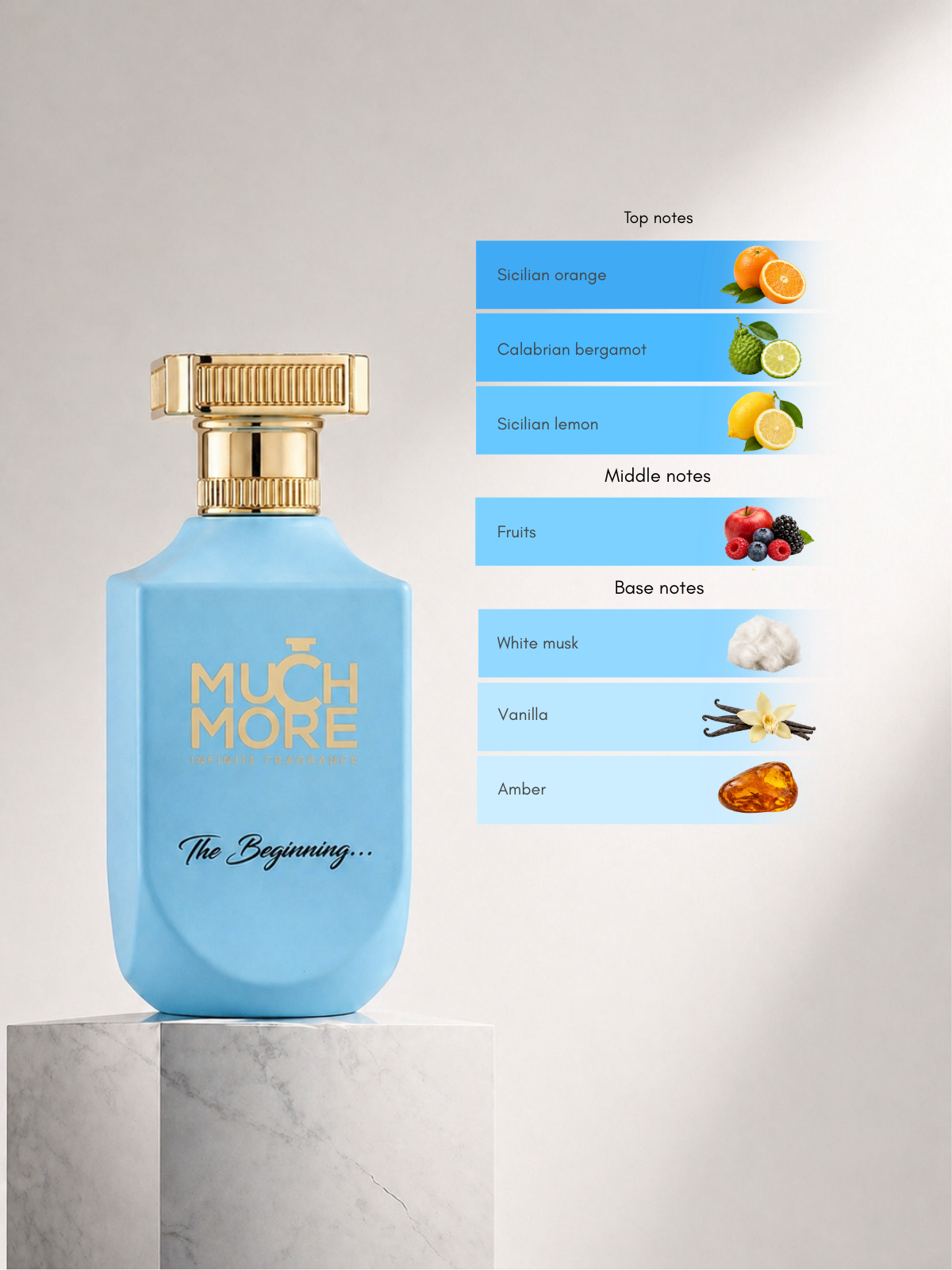 The Beginning EDP 100ml