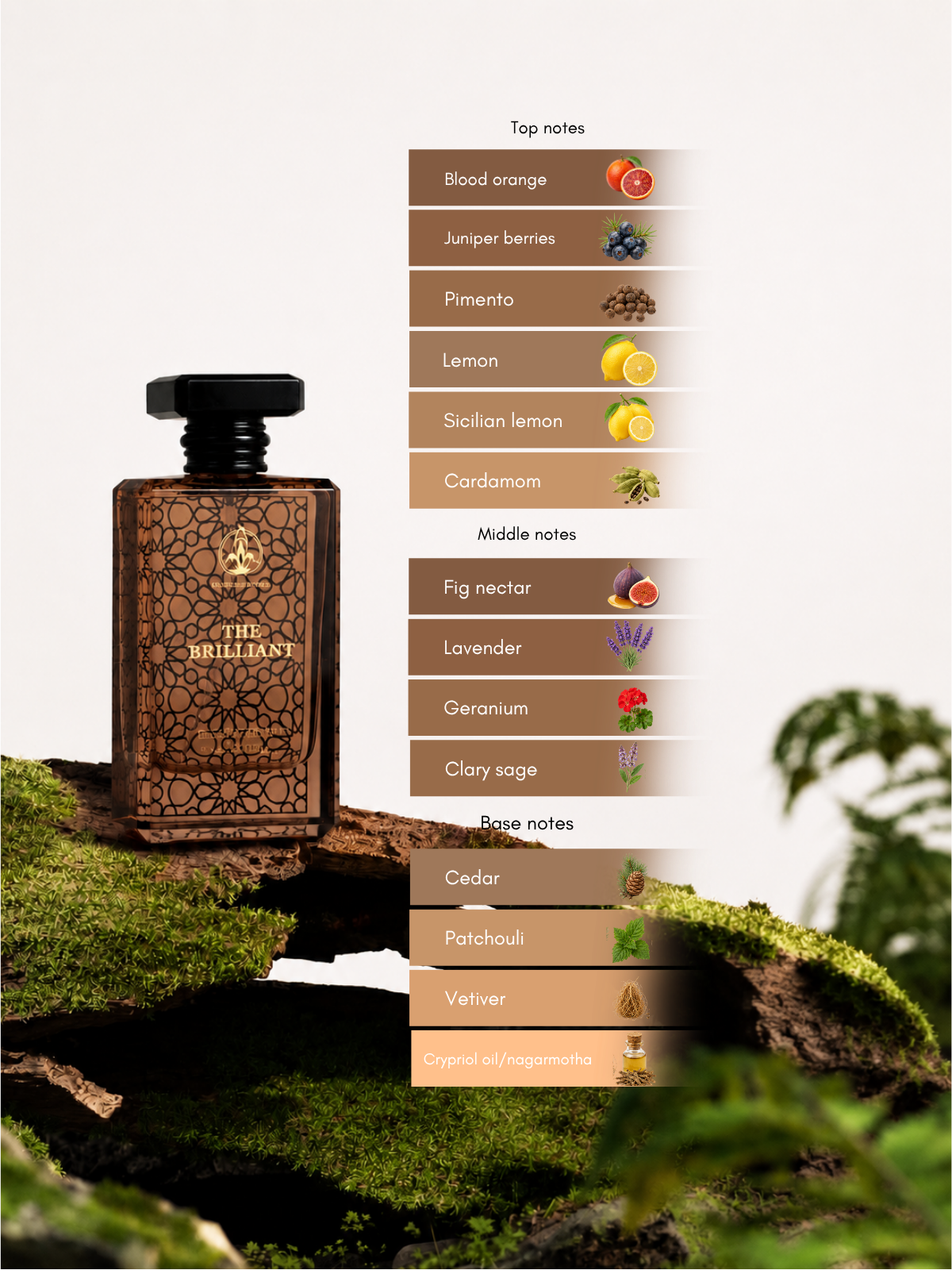 The Brilliant EDP 100ml